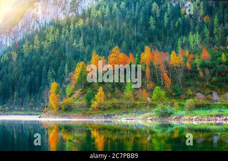 Schöner Blick auf idyllische bunte Herbstlandschaft mit Dachstein-Gipfel am Gosausee Bergsee im Herbst Salzkammergut Region Oberösterreich Stockfoto