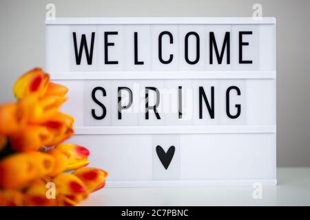 lightbox mit den Worten 'Welcome spring' und Tulpenblumen auf dem Tisch Stockfoto