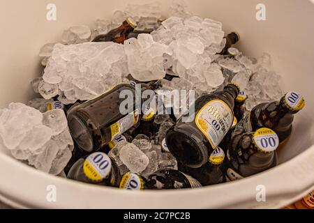 Beek, Süd-Limburg, Niederlande. September. 2019. Flaschen Bitburger alkoholfreies Bier 0.0 im Eiskübel bei einem Familienevent Stockfoto