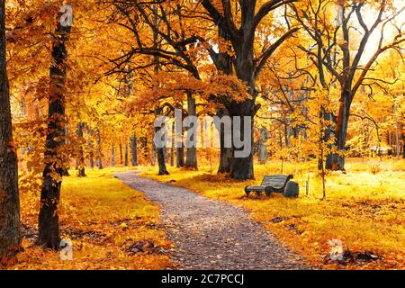 Alte Holzbank im Herbstpark unter bunten Bäumen mit goldenen Blättern Stockfoto