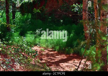 Wald mit roten Felsen im provenzalischen Colorado Park. Beliebte Trekking-Route, einst ockerfarbenen Steinbrüchen und jetzt eine seltsame Landschaft von fantastischen Formen und Stockfoto