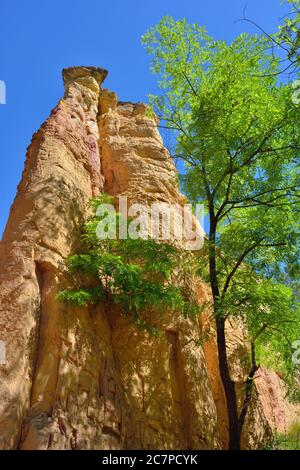 Rote Felsen im provenzalischen Colorado Park. Beliebte Trekking-Route, einst ockerfarbene Steinbrüche und jetzt eine seltsame Landschaft von fantastischen Formen und lebendigen Farben Stockfoto