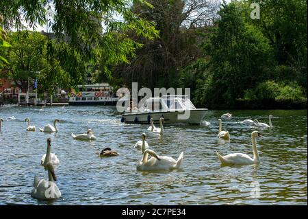 Eton, Windsor, Berkshire, Großbritannien. Juli 2020. Bootstouren auf der Themse in Windsor an einem warmen sonnigen Sommertag. Quelle: Maureen McLean/Alamy Stockfoto