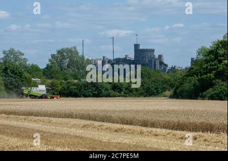 Eton, Windsor, Berkshire, Großbritannien. Juli 2020. Ein Mähdrescher erntet Weizen auf Feldern in Eton, Berkshire an einem warmen sonnigen Sommertag, bevor der vorhergesagte Regen eintrifft. Quelle: Maureen McLean/Alamy Stockfoto