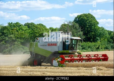 Eton, Windsor, Berkshire, Großbritannien. Juli 2020. Ein Mähdrescher erntet Weizen auf Feldern in Eton, Berkshire an einem warmen sonnigen Sommertag, bevor der vorhergesagte Regen eintrifft. Quelle: Maureen McLean/Alamy Stockfoto