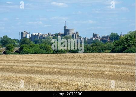 Eton, Windsor, Berkshire, Großbritannien. Juli 2020. Geerntete Weizenfelder in Eton, Berkshire an einem warmen sonnigen Sommertag. Quelle: Maureen McLean/Alamy Stockfoto