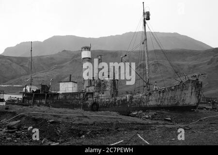 Walfangschiff Petrel Grytviken in Südgeorgien Stockfoto
