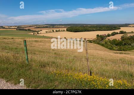 Typischer Bauernhof in englischer Landschaft. Sanfte Hügel der South Downs in Hampshire. Stockfoto