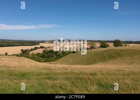 Typischer Bauernhof in englischer Landschaft. Sanfte Hügel der South Downs in Hampshire. Stockfoto