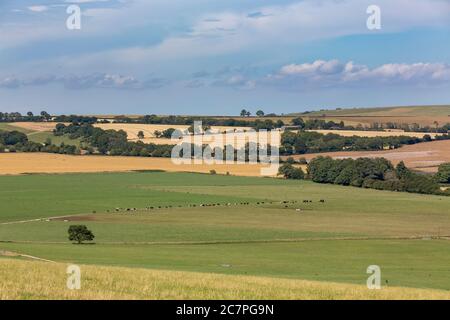 Typischer Bauernhof in englischer Landschaft. Sanfte Hügel der South Downs in Hampshire. Stockfoto