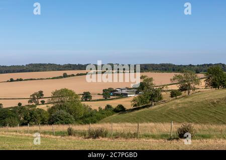 Typischer Bauernhof in englischer Landschaft. Sanfte Hügel der South Downs in Hampshire. Stockfoto