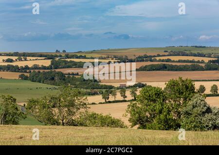 Typischer Bauernhof in englischer Landschaft. Sanfte Hügel der South Downs in Hampshire. Stockfoto