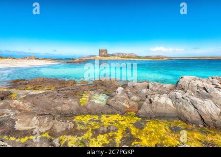 Atemberaubende Aussicht auf den berühmten Strand von La Pelosa mit Torre della Pelosa. Lage: Stintino, Provinz Sassari, Italien, Europa Stockfoto