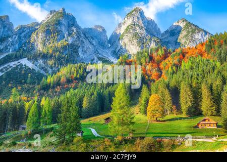 Schöner Blick auf idyllische bunte Herbstlandschaft mit Dachstein-Gipfel am Gosausee Bergsee im Herbst Salzkammergut Region Oberösterreich Stockfoto