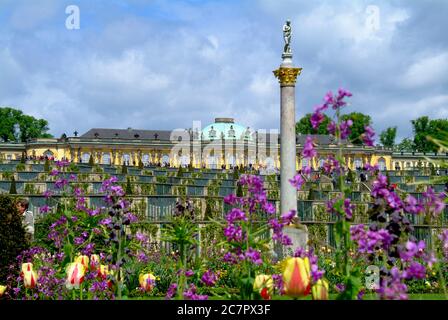 Sanssouci Palast mit Fliederblumen Stockfoto