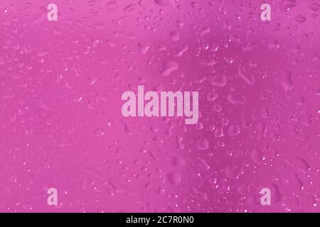 Makroaufnahme von Wassertropfen auf einer glasplatte mit rosa Hintergrund Stockfoto