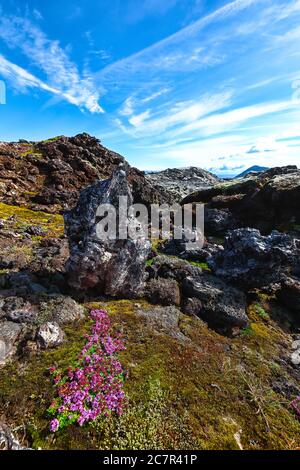 Gefrorenes Lavafeld im geothermischen Tal Leirhnjukur, in der Nähe des Vulkans Krafla. Lage: Leirhnjukur Tal, Myvatn Region, Nordteil Islands, Euro Stockfoto