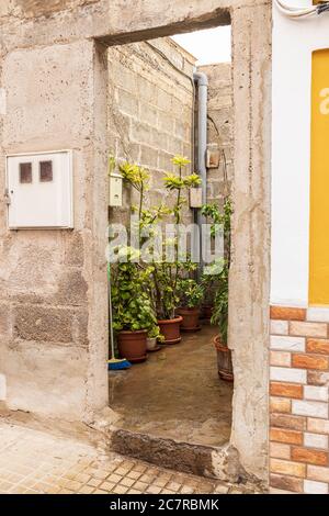 Ungerendertes, einstöckiges Haus aus Ziegel und Beton mit vielen Pflanzen in einer Seitenstraße in Playa San Juan, Teneriffa, Kanarische Inseln, Spanien Stockfoto