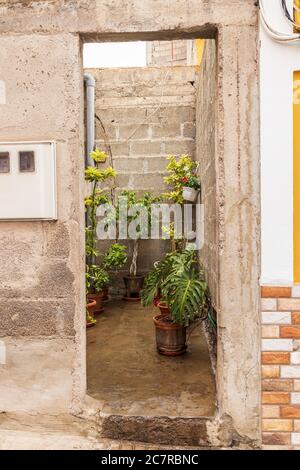 Ungerendertes, einstöckiges Haus aus Ziegel und Beton mit vielen Pflanzen in einer Seitenstraße in Playa San Juan, Teneriffa, Kanarische Inseln, Spanien Stockfoto