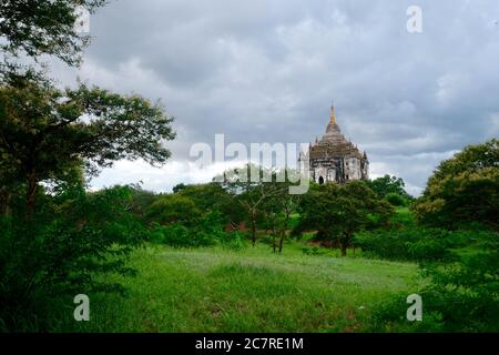 Fernansicht des Thatbyinnyu-Tempels unter wolkenfreiem Himmel. Das höchste Pahto in Bagan Myanmar. Wald und Gras herum Stockfoto