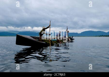 Drei junge einheimische Männer stehen auf einem schiefen Boot im welligen Inle See in Myanmar. Mit Stöcken Wasserunkräuter zu ernten. Weißer wolkig Himmel mit Bergen Stockfoto