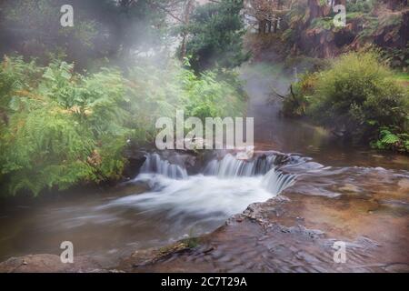 Thermalwasserfall auf Kerosin Creek, Rotorua, Neuseeland. Ungewöhnliche Naturlandschaften Stockfoto