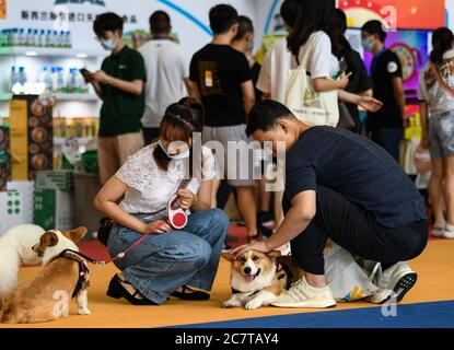 Chengdu, Chinas Provinz Sichuan. Juli 2020. Besucher interagieren mit Haustieren auf der Chengdu International Pet Expo in Chengdu, südwestlich der chinesischen Provinz Sichuan, 19. Juli 2020. Die 9. Chengdu International Pet Expo ist am Sonntag geschlossen. Quelle: Wang Xi/Xinhua/Alamy Live News Stockfoto