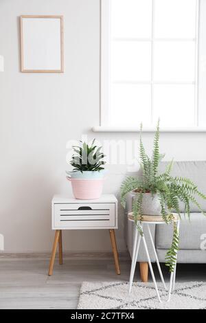 Korbkörbe mit Zimmerpflanzen und Sofa im Zimmer Stockfoto