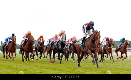 Happy Romance von Sean Levey gewinnt den Weatherbys Super Sprint auf der Rennbahn Newbury. Stockfoto