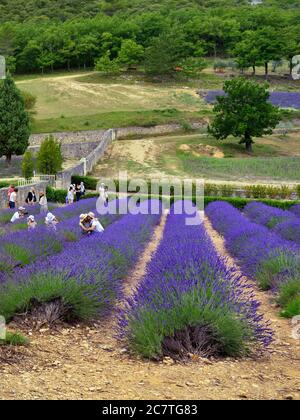 PROVENCE, FRANKREICH - JUL 7, 2014: Touristen im Innenhof eines alten Klosters Abbaye Notre-Dame de Senanque. Abtei von Senanquei Hauptanbetung an Stockfoto