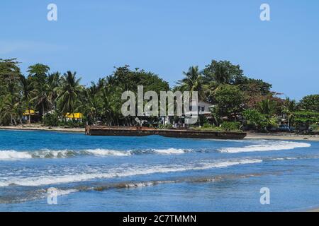 Das Karibische Meer von Playa Negra in Puerto Viejo, Costa Rica, mit Blick auf üppige Palmen Stockfoto