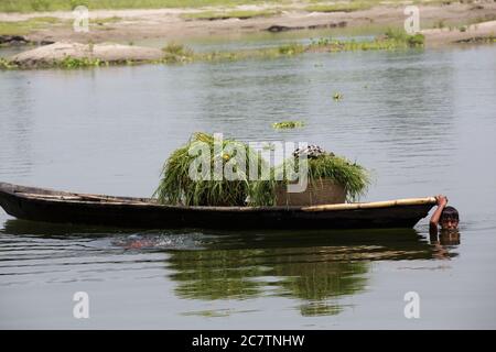 Junge schwimmen und steuern ein Boot mit Gras beladen für die Viehfütterung, im Fluss Meghna, in der Nähe von Gazipur, Bangladesch. Das Wildgras ernährt Rinder und wird aus dem wilden Land an den Ufern geschnitten. Stockfoto