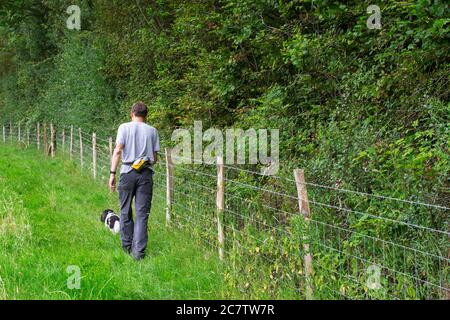 Mann geht im Sommer mit seinem Hund, einem Kakadu, in Wealden, East Sussex, zu einem Sonntagsspaziergang Stockfoto