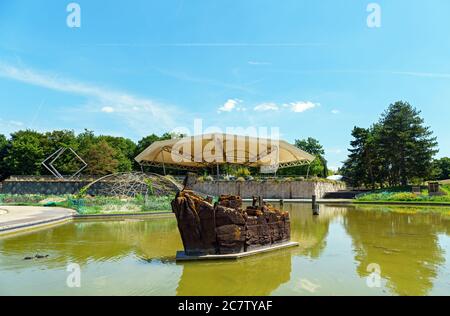 Wasserspiegel im Parc Floral de Paris im Bois de Vincennes - Paris, Frankreich Stockfoto