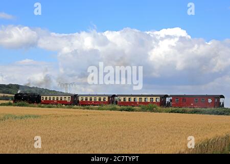 Gernrode, Deutschland. Juli 2020. Ein Zug der Harzer Schmalspurbahnen (HSB) fährt durch das sommerliche Selke-Tal bei Gernrode im Harz. Seit einigen Tagen läuft die Selketalbahn einmal täglich nach der "Sperre" durch das Coronavirus. Die Gernrode-Harzgeroder Eisenbahn-Gesellschaft (GHE) eröffnete 1887 die erste Meterspurbahn im Harz. Da die Strecke mehrere Kilometer durch das Tal des kleinen Flusses Selke verläuft, erhielt die Bahn den Beinamen Selketalbahn. Quelle: Peter Gercke/dpa-Zentralbild/ZB/dpa/Alamy Live News Stockfoto