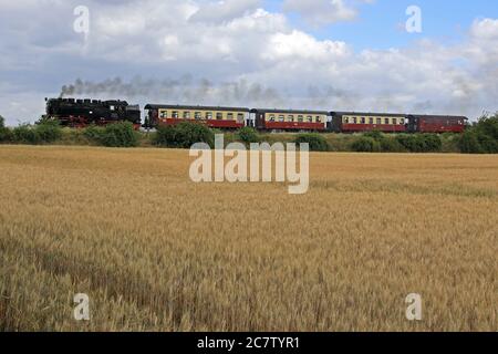 Gernrode, Deutschland. Juli 2020. Ein Zug der Harzer Schmalspurbahnen (HSB) fährt durch das sommerliche Selke-Tal bei Gernrode im Harz. Seit einigen Tagen läuft die Selketalbahn einmal täglich nach der "Sperre" durch das Coronavirus. Die Gernrode-Harzgeroder Eisenbahn-Gesellschaft (GHE) eröffnete 1887 die erste Meterspurbahn im Harz. Da die Strecke mehrere Kilometer durch das Tal des kleinen Flusses Selke verläuft, erhielt die Bahn den Beinamen Selketalbahn. Quelle: Peter Gercke/dpa-Zentralbild/ZB/dpa/Alamy Live News Stockfoto