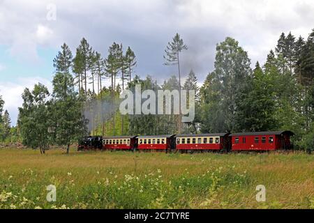 Gernrode, Deutschland. Juli 2020. Ein Zug der Harzer Schmalspurbahnen (HSB) fährt durch das sommerliche Selketal bei Gernrode im Harz. Seit einigen Tagen läuft die Selketalbahn einmal täglich nach der "Sperre" durch das Coronavirus. Die Gernrode-Harzgeroder Eisenbahn-Gesellschaft (GHE) eröffnete 1887 die erste Meterspurbahn im Harz. Da die Strecke mehrere Kilometer durch das Tal des kleinen Flusses Selke verläuft, erhielt die Bahn den Beinamen Selketalbahn. Quelle: Peter Gercke/dpa-Zentralbild/ZB/dpa/Alamy Live News Stockfoto