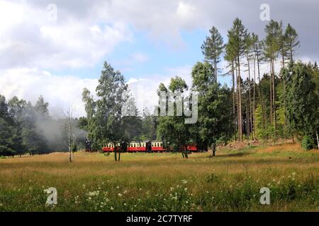 Gernrode, Deutschland. Juli 2020. Ein Zug der Harzer Schmalspurbahnen (HSB) fährt durch das sommerliche Selke-Tal bei Gernrode im Harz. Seit einigen Tagen läuft die Selketalbahn einmal täglich nach der "Sperre" durch das Coronavirus. Die Gernrode-Harzgeroder Eisenbahn-Gesellschaft (GHE) eröffnete 1887 die erste Meterspurbahn im Harz. Da die Strecke mehrere Kilometer durch das Tal des kleinen Flusses Selke verläuft, erhielt die Bahn den Beinamen Selketalbahn. Quelle: Peter Gercke/dpa-Zentralbild/ZB/dpa/Alamy Live News Stockfoto