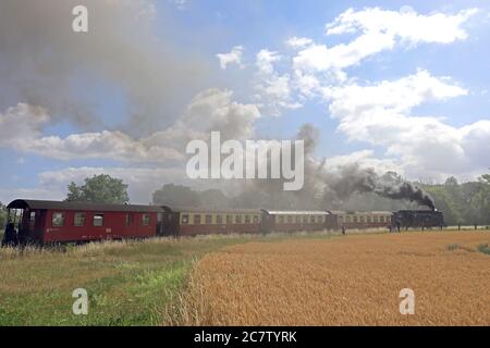 Gernrode, Deutschland. Juli 2020. Ein Zug der Harzer Schmalspurbahnen (HSB) fährt durch das sommerliche Selke-Tal bei Gernrode im Harz. Seit einigen Tagen läuft die Selketalbahn einmal täglich nach der "Sperre" durch das Coronavirus. Die Gernrode-Harzgeroder Eisenbahn-Gesellschaft (GHE) eröffnete 1887 die erste Meterspurbahn im Harz. Da die Strecke mehrere Kilometer durch das Tal des kleinen Flusses Selke verläuft, erhielt die Bahn den Beinamen Selketalbahn. Quelle: Peter Gercke/dpa-Zentralbild/ZB/dpa/Alamy Live News Stockfoto