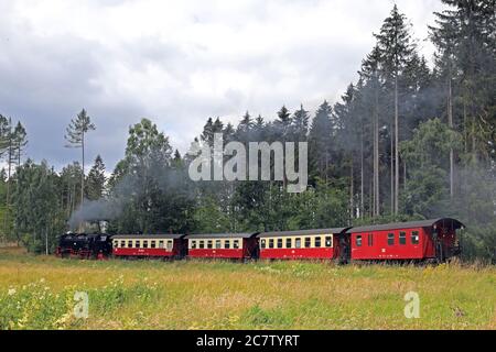 Gernrode, Deutschland. Juli 2020. Ein Zug der Harzer Schmalspurbahnen (HSB) fährt durch das sommerliche Selke-Tal bei Gernrode im Harz. Seit einigen Tagen läuft die Selketalbahn einmal täglich nach der "Sperre" durch das Coronavirus. Die Gernrode-Harzgeroder Eisenbahn-Gesellschaft (GHE) eröffnete 1887 die erste Meterspurbahn im Harz. Da die Strecke mehrere Kilometer durch das Tal des kleinen Flusses Selke verläuft, erhielt die Bahn den Beinamen Selketalbahn. Quelle: Peter Gercke/dpa-Zentralbild/ZB/dpa/Alamy Live News Stockfoto