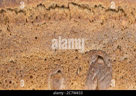 Frisch gebackenes Roggenbrot mit Kleie und Getreidesamen: Textur Stockfoto
