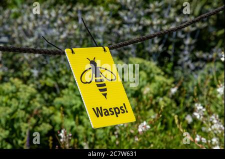 Hampshire, England, Großbritannien. 2020. Ein Warnschild für aktive Wespen in einem Landgarten in Großbritannien. Stockfoto