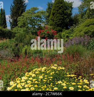 Hampshire, England, Großbritannien. 2020. Mischbeet Pflanzen an der Centenary Grenze bei Hillier Gardens in der Nähe von Winchester, England, Großbritannien. Stockfoto