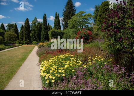 Hampshire, England, Großbritannien. 2020. Mischbeet Pflanzen an der Centenary Grenze bei Hillier Gardens in der Nähe von Winchester, England, Großbritannien. Stockfoto