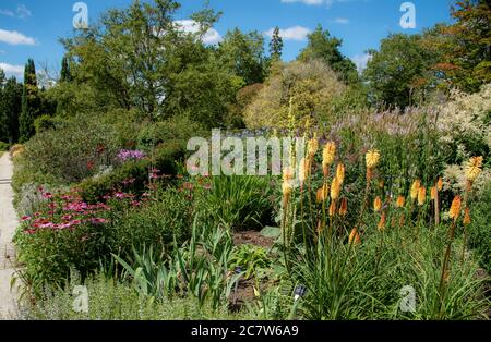 Hampshire, England, Großbritannien. 2020. Mischbeet Pflanzen an der Centenary Grenze bei Hillier Gardens in der Nähe von Winchester, England, Großbritannien. Stockfoto