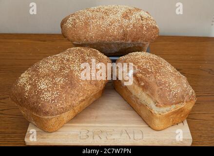 Drei Laibe frisch gebackenes Brot mit Sesamsamen auf einem hölzernen Brotbrett Stockfoto