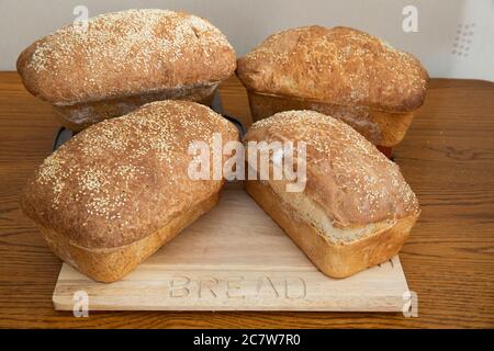 Vier Laibe frisch gebackenes Brot mit Sesamsamen auf einem hölzernen Brotbrett Stockfoto