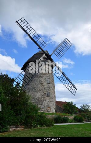 Windmühle, Stembridge Tower Mill die letzte reetgedeckte Windmühle in England und war bis 1910 in Gebrauch. High Ham, Somerset, Großbritannien Stockfoto