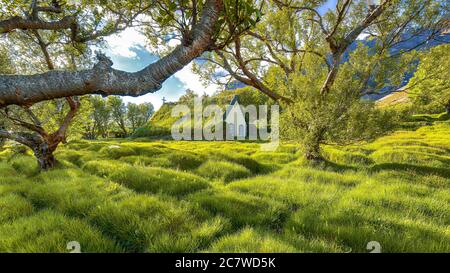 Malerische Aussicht auf Rasen-Top-Kirche Hofskirkja während des Sonnenuntergangs. Lage: Dorf Hof, Skaftafell, Vatnajokull Nationalpark, Europa. Stockfoto