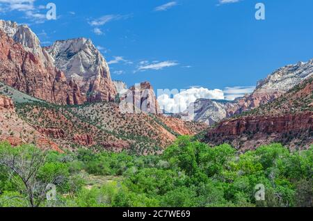 Landschaftlich schöner Blick auf den Zion Canyon mit grünen Bäumen und roten Bergen im Morgenlicht Stockfoto